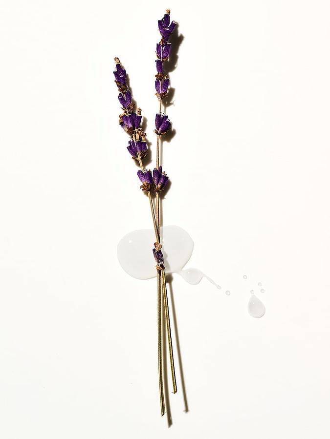 Lavender Vitamin E Body Scrub